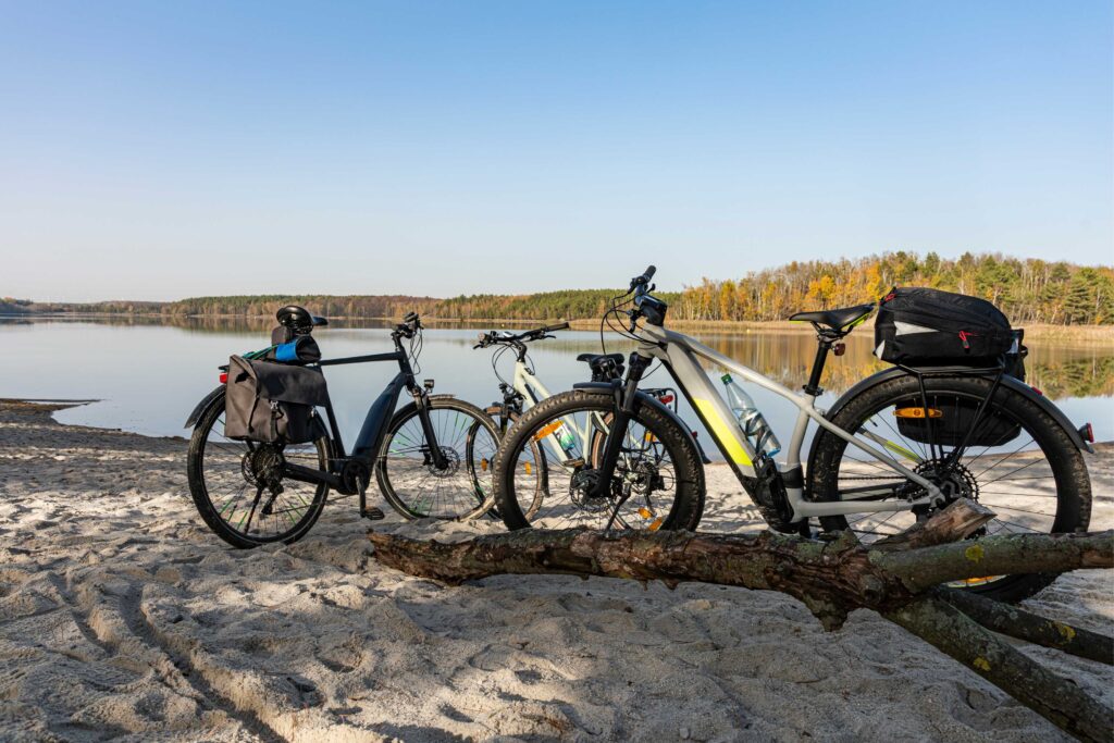 Fietsaccu reviseren
